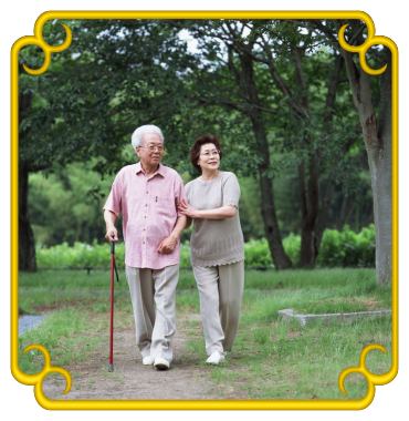 老年人怎样疗养康复